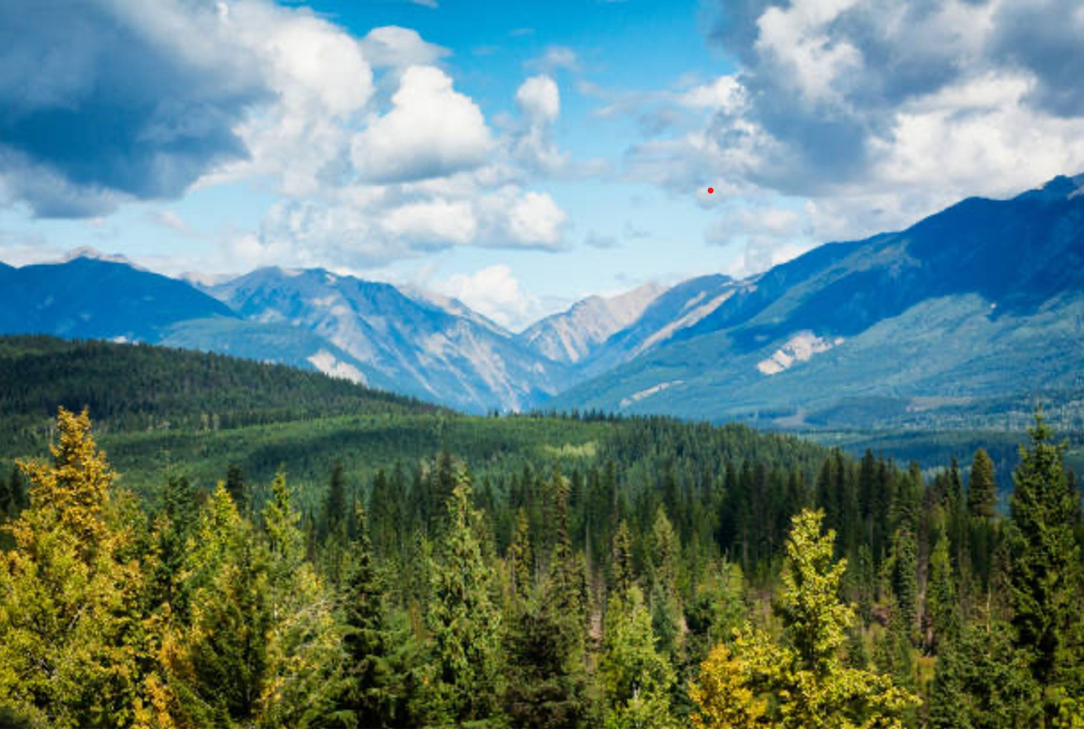 British Columbia Day: Environmental Stewardship and Wildfire Resilience in BC